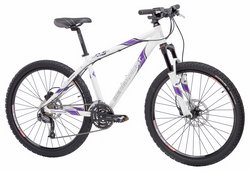 Велосипед Bergamont Icee Disc FMN 2009 Белый