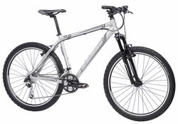 Велосипед Bergamont Stallion 2009 Серебристый