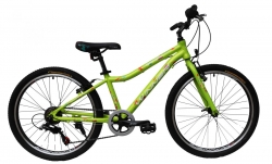 Велосипед Winner CANDY 2019 зелёный, рама 33 см