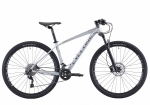Велосипед CYCLONE MMXX серый 2020 колеса 29¨