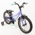 Велосипед детский TREK PRECALIBER 16 GIRLS CB 2021 фиолетовый колеса 16¨