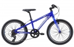 Велосипед детский Reid Viper Blue 2021 колеса 20¨