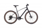 Велосипед TREK 2024 Dual Sport 2 Gen 5 2024 L