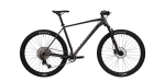 Велосипед CYCLONE ALX серый матовый 29¨ | 2024