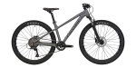 Велосипед CYCLONE RX серый 26¨ | 2024